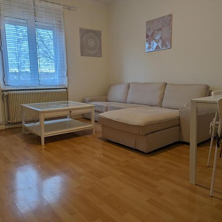 Le Balois - Appartement 2 Chambres, Salon, Cuisine Equipee, Parking Et Wifi Gratuit Mulhouse Esterno foto