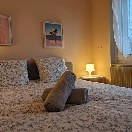 Le Balois - Appartement 2 Chambres, Salon, Cuisine Equipee, Parking Et Wifi Gratuit Mulhouse Esterno foto