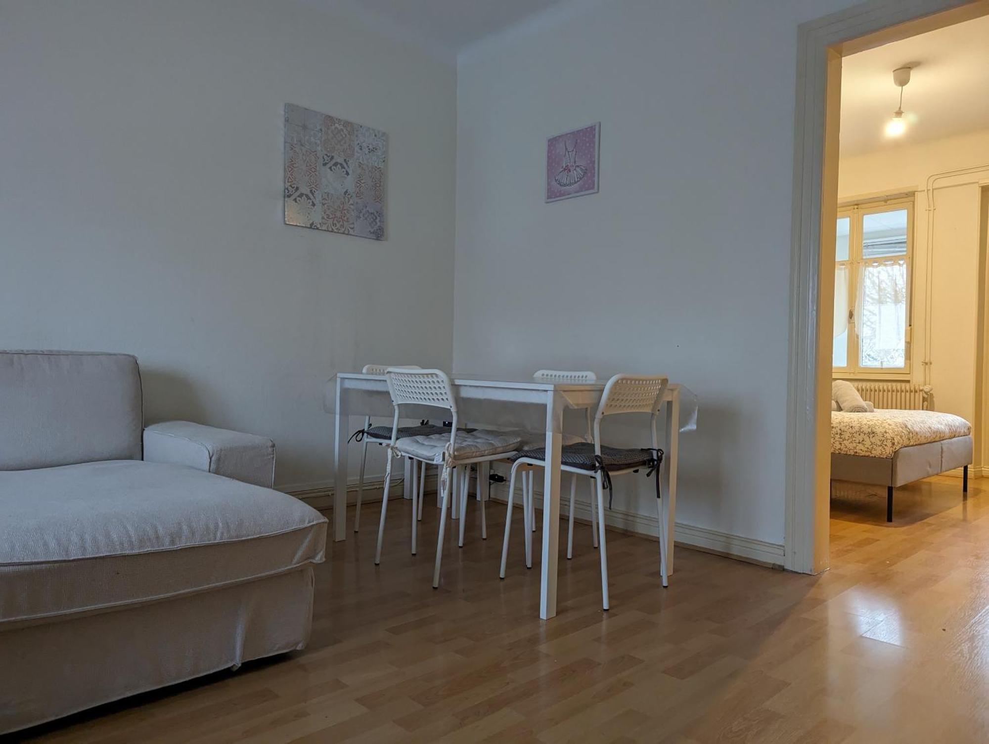 Le Balois - Appartement 2 Chambres, Salon, Cuisine Equipee, Parking Et Wifi Gratuit Mulhouse Esterno foto