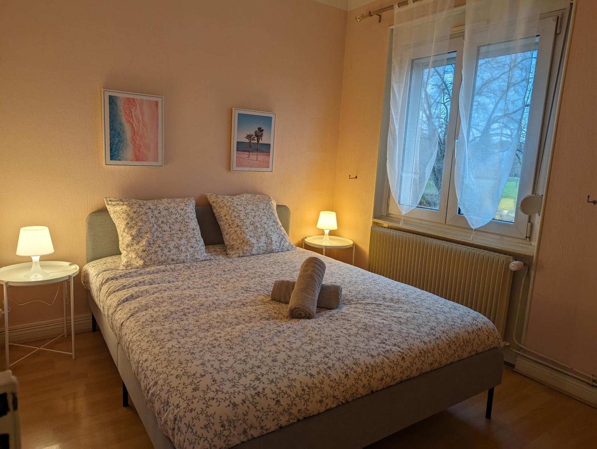 Le Balois - Appartement 2 Chambres, Salon, Cuisine Equipee, Parking Et Wifi Gratuit Mulhouse Esterno foto