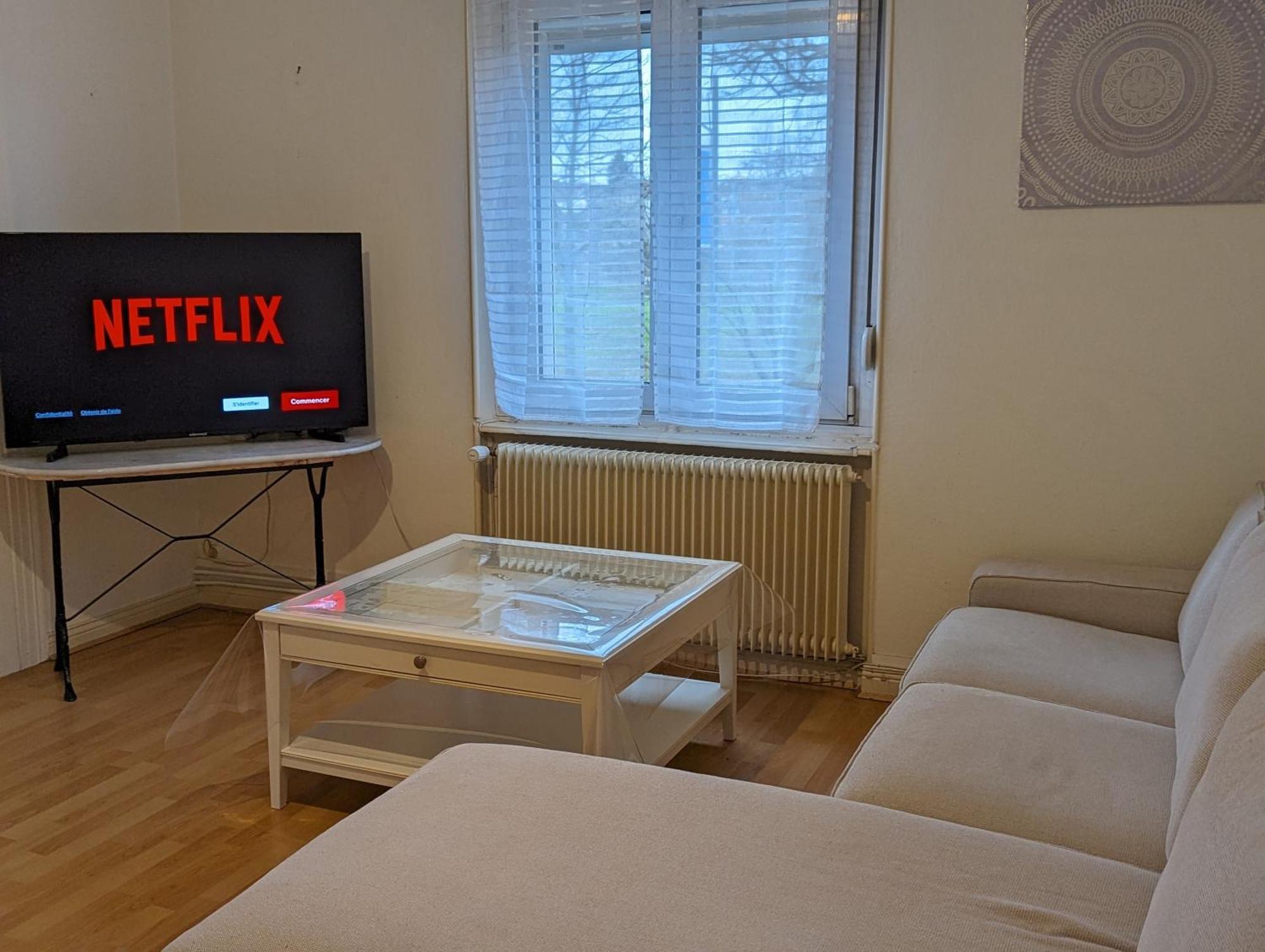 Le Balois - Appartement 2 Chambres, Salon, Cuisine Equipee, Parking Et Wifi Gratuit Mulhouse Esterno foto